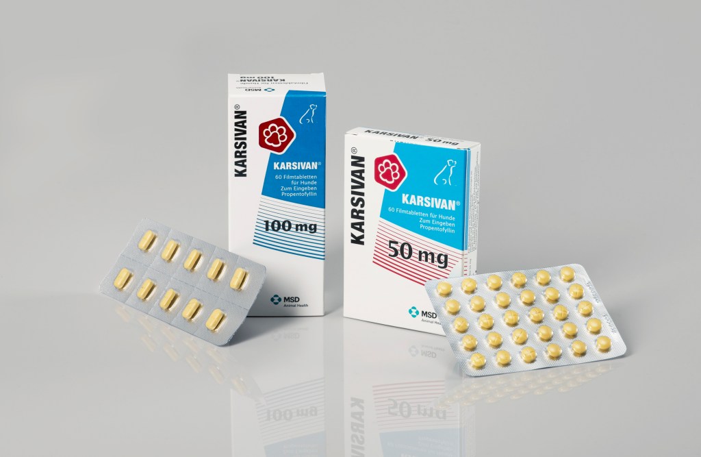 Karsivan® Alterserscheinungen beim Hund