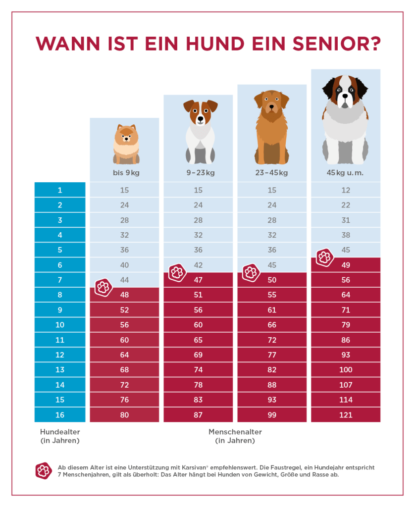 Alterstabelle Hund - Wie alt ist ein Hund in Menschenjahren